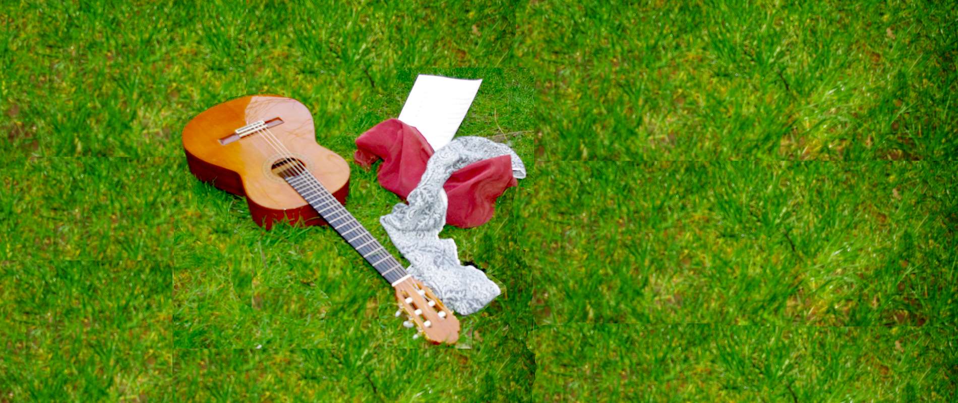 guitare dans l'herbe